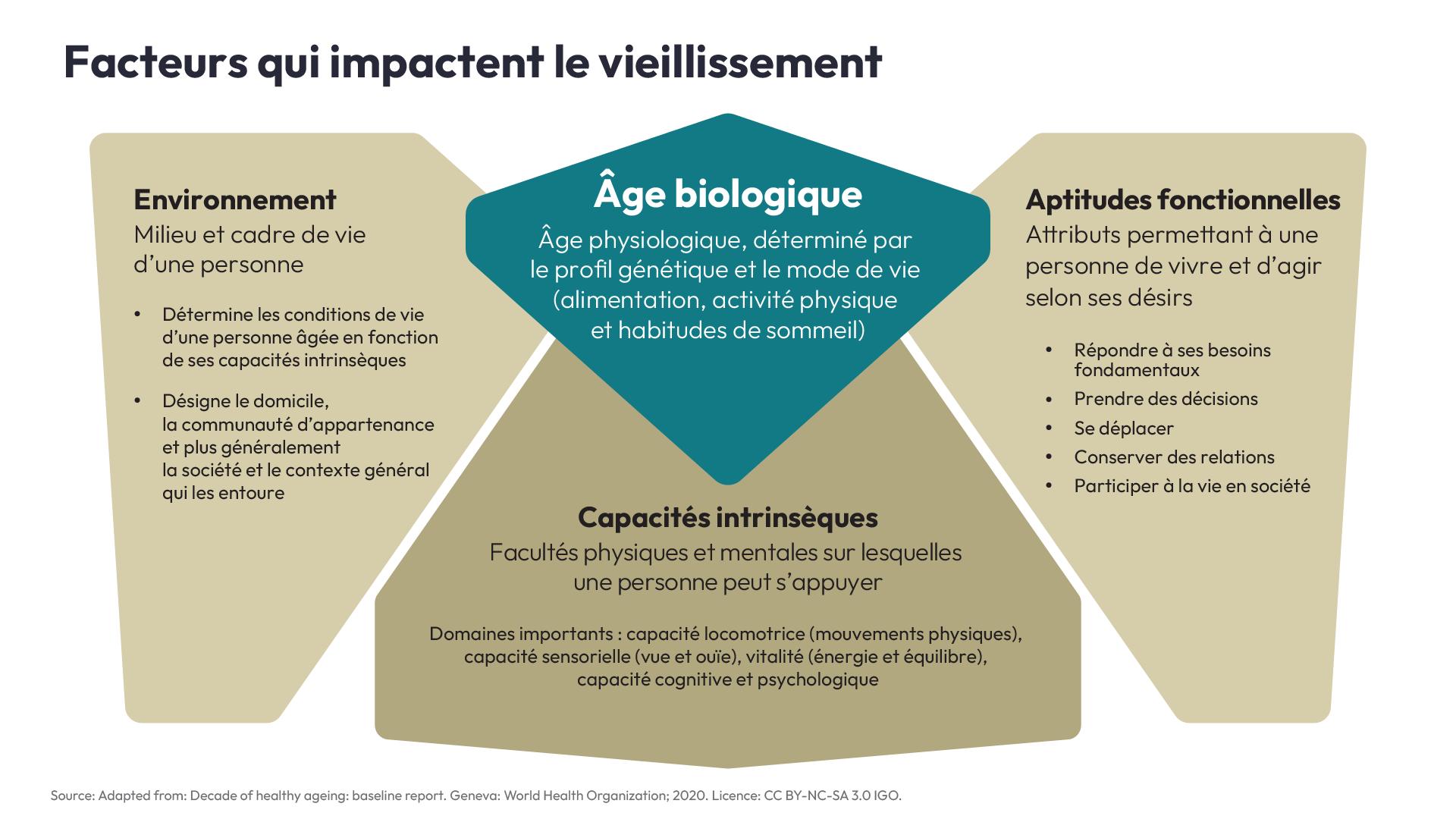 Facteurs qui influent sur le vieillissement